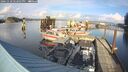 ./images/quadra/hbidock/20241118/hbidock20241118_142002M.jpg