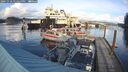 ./images/quadra/hbidock/20241118/hbidock20241118_144500M.jpg
