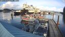 ./images/quadra/hbidock/20241118/hbidock20241118_144501M.jpg