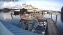 ./images/quadra/hbidock/20241118/hbidock20241118_145002M.jpg