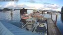 ./images/quadra/hbidock/20241118/hbidock20241118_151001M.jpg