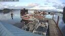 ./images/quadra/hbidock/20241118/hbidock20241118_154002M.jpg