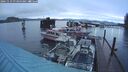 ./images/quadra/hbidock/20241119/hbidock20241119_073500M.jpg