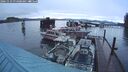 ./images/quadra/hbidock/20241119/hbidock20241119_074001M.jpg