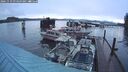 ./images/quadra/hbidock/20241119/hbidock20241119_074500M.jpg