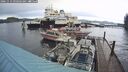 ./images/quadra/hbidock/20241119/hbidock20241119_090502M.jpg