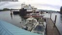 ./images/quadra/hbidock/20241119/hbidock20241119_130502M.jpg