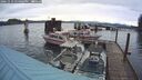 ./images/quadra/hbidock/20241119/hbidock20241119_154002M.jpg