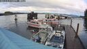 ./images/quadra/hbidock/20241121/hbidock20241121_135001M.jpg