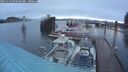 ./images/quadra/hbidock/20241124/hbidock20241124_073502M.jpg