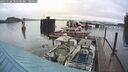 ./images/quadra/hbidock/20241124/hbidock20241124_101500M.jpg