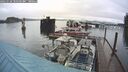 ./images/quadra/hbidock/20241124/hbidock20241124_101501M.jpg