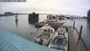 ./images/quadra/hbidock/20241124/hbidock20241124_112001M.jpg