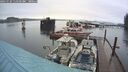 ./images/quadra/hbidock/20241124/hbidock20241124_113501M.jpg