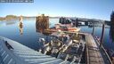 ./images/quadra/hbidock/20241125/hbidock20241125_094500M.jpg