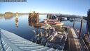 ./images/quadra/hbidock/20241125/hbidock20241125_095502M.jpg