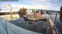 ./images/quadra/hbidock/20241126/hbidock20241126_104000M.jpg
