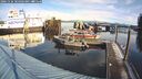 ./images/quadra/hbidock/20241126/hbidock20241126_104002M.jpg