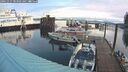 ./images/quadra/hbidock/20241127/hbidock20241127_083502M.jpg