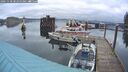./images/quadra/hbidock/20241128/hbidock20241128_083000M.jpg