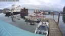 ./images/quadra/hbidock/20241128/hbidock20241128_084000M.jpg