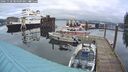 ./images/quadra/hbidock/20241128/hbidock20241128_084009M.jpg
