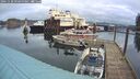 ./images/quadra/hbidock/20241128/hbidock20241128_090500M.jpg