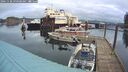 ./images/quadra/hbidock/20241128/hbidock20241128_090508M.jpg