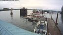./images/quadra/hbidock/20241129/hbidock20241129_115009M.jpg