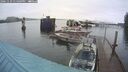 ./images/quadra/hbidock/20241129/hbidock20241129_134509M.jpg