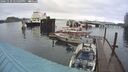 ./images/quadra/hbidock/20241129/hbidock20241129_145009M.jpg
