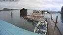 ./images/quadra/hbidock/20241129/hbidock20241129_152507M.jpg
