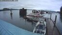 ./images/quadra/hbidock/20241129/hbidock20241129_155506M.jpg