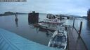 ./images/quadra/hbidock/20241129/hbidock20241129_162000M.jpg