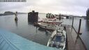 ./images/quadra/hbidock/20241130/hbidock20241130_113010M.jpg