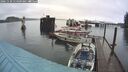 ./images/quadra/hbidock/20241130/hbidock20241130_114009M.jpg
