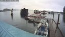 ./images/quadra/hbidock/20241130/hbidock20241130_115008M.jpg