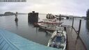 ./images/quadra/hbidock/20241130/hbidock20241130_115500M.jpg