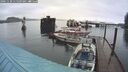 ./images/quadra/hbidock/20241130/hbidock20241130_115509M.jpg