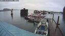 ./images/quadra/hbidock/20241130/hbidock20241130_155508M.jpg