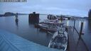 ./images/quadra/hbidock/20241130/hbidock20241130_163008M.jpg