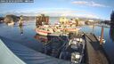 ./images/quadra/hbidock/20241218/hbidock20241218_142008M.jpg