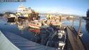./images/quadra/hbidock/20241218/hbidock20241218_144509M.jpg