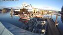 ./images/quadra/hbidock/20241218/hbidock20241218_145508M.jpg