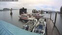 ./images/quadra/hbidock/20241220/hbidock20241220_155009M.jpg