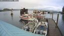 ./images/quadra/hbidock/20241221/hbidock20241221_151000M.jpg