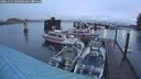 ./images/quadra/hbidock/20241224/hbidock20241224_080000M.jpg