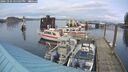 ./images/quadra/hbidock/20241224/hbidock20241224_155508M.jpg