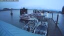 ./images/quadra/hbidock/20241225/hbidock20241225_080508M.jpg