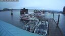 ./images/quadra/hbidock/20241225/hbidock20241225_081009M.jpg